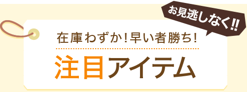 お見逃しなく!!在庫わずか！早い者勝ち！注目アイテム